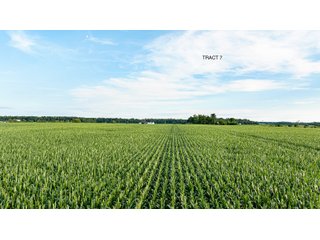 Property photo 22 - QUALITY LAND AUCTION - 383+/-ACRES OFFERED IN 10 TRACTS IN HUNTINGTON COUNTY, INDIANA
