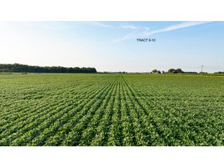 Property photo 28 - QUALITY LAND AUCTION - 383+/-ACRES OFFERED IN 10 TRACTS IN HUNTINGTON COUNTY, INDIANA