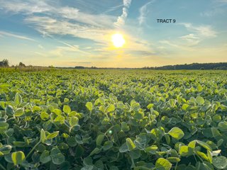 Property photo 33 - QUALITY LAND AUCTION - 383+/-ACRES OFFERED IN 10 TRACTS IN HUNTINGTON COUNTY, INDIANA