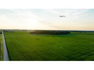 Property photo 17 - QUALITY LAND AUCTION - 383+/-ACRES OFFERED IN 10 TRACTS IN HUNTINGTON COUNTY, INDIANA