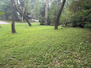 Property photo 10 - TIMED ONLINE ONLY REAL ESTATE AUCTION - .5+/- ACRES OFFERED IN 1 TRACT IN ALLEN COUNTY, INDIANA