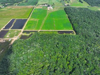 Property photo 37 - CRANBERRY & TILLABLE LAND AUCTION - 150.22+/-ACRES OFFERED IN 4 TRACTS IN WOOD COUNTY, WISCONSIN