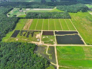 Property photo 10 - CRANBERRY & TILLABLE LAND AUCTION - 150.22+/-ACRES OFFERED IN 4 TRACTS IN WOOD COUNTY, WISCONSIN
