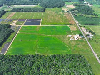 Property photo 25 - CRANBERRY & TILLABLE LAND AUCTION - 150.22+/-ACRES OFFERED IN 4 TRACTS IN WOOD COUNTY, WISCONSIN
