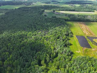 Property photo 39 - CRANBERRY & TILLABLE LAND AUCTION - 150.22+/-ACRES OFFERED IN 4 TRACTS IN WOOD COUNTY, WISCONSIN