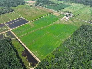 Property photo 26 - CRANBERRY & TILLABLE LAND AUCTION - 150.22+/-ACRES OFFERED IN 4 TRACTS IN WOOD COUNTY, WISCONSIN