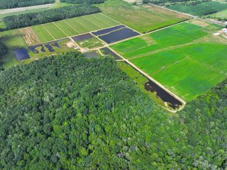 Property photo 33 - CRANBERRY & TILLABLE LAND AUCTION - 150.22+/-ACRES OFFERED IN 4 TRACTS IN WOOD COUNTY, WISCONSIN