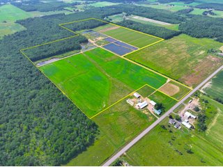 Property photo 2 - CRANBERRY & TILLABLE LAND AUCTION - 150.22+/-ACRES OFFERED IN 4 TRACTS IN WOOD COUNTY, WISCONSIN