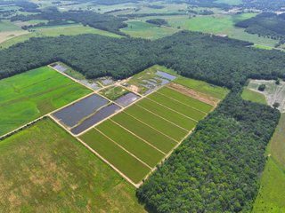 Property photo 12 - CRANBERRY & TILLABLE LAND AUCTION - 150.22+/-ACRES OFFERED IN 4 TRACTS IN WOOD COUNTY, WISCONSIN