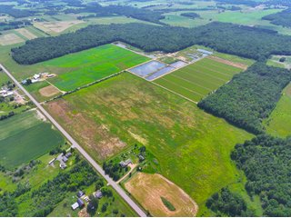 Property photo 3 - CRANBERRY & TILLABLE LAND AUCTION - 150.22+/-ACRES OFFERED IN 4 TRACTS IN WOOD COUNTY, WISCONSIN