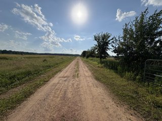 Property photo 23 - CRANBERRY & TILLABLE LAND AUCTION - 150.22+/-ACRES OFFERED IN 4 TRACTS IN WOOD COUNTY, WISCONSIN