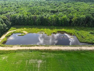 Property photo 36 - CRANBERRY & TILLABLE LAND AUCTION - 150.22+/-ACRES OFFERED IN 4 TRACTS IN WOOD COUNTY, WISCONSIN