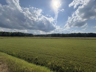 Property photo 15 - CRANBERRY & TILLABLE LAND AUCTION - 150.22+/-ACRES OFFERED IN 4 TRACTS IN WOOD COUNTY, WISCONSIN