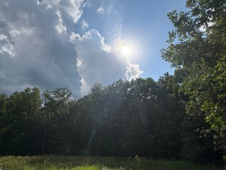 Property photo 41 - CRANBERRY & TILLABLE LAND AUCTION - 150.22+/-ACRES OFFERED IN 4 TRACTS IN WOOD COUNTY, WISCONSIN