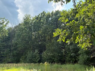 Property photo 42 - CRANBERRY & TILLABLE LAND AUCTION - 150.22+/-ACRES OFFERED IN 4 TRACTS IN WOOD COUNTY, WISCONSIN