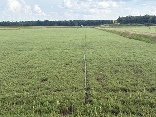 Property photo 19 - CRANBERRY & TILLABLE LAND AUCTION - 150.22+/-ACRES OFFERED IN 4 TRACTS IN WOOD COUNTY, WISCONSIN