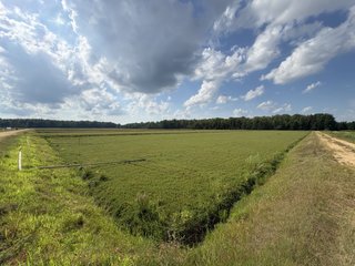 Property photo 17 - CRANBERRY & TILLABLE LAND AUCTION - 150.22+/-ACRES OFFERED IN 4 TRACTS IN WOOD COUNTY, WISCONSIN