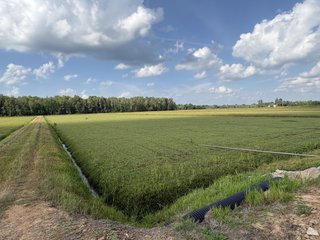 Property photo 16 - CRANBERRY & TILLABLE LAND AUCTION - 150.22+/-ACRES OFFERED IN 4 TRACTS IN WOOD COUNTY, WISCONSIN