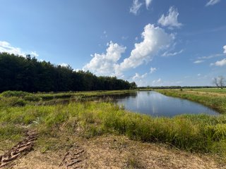 Property photo 35 - CRANBERRY & TILLABLE LAND AUCTION - 150.22+/-ACRES OFFERED IN 4 TRACTS IN WOOD COUNTY, WISCONSIN