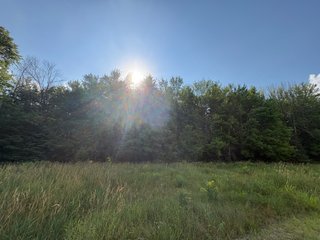 Property photo 34 - CRANBERRY & TILLABLE LAND AUCTION - 150.22+/-ACRES OFFERED IN 4 TRACTS IN WOOD COUNTY, WISCONSIN