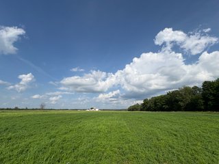 Property photo 28 - CRANBERRY & TILLABLE LAND AUCTION - 150.22+/-ACRES OFFERED IN 4 TRACTS IN WOOD COUNTY, WISCONSIN