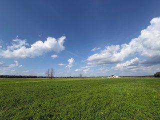 Property photo 29 - CRANBERRY & TILLABLE LAND AUCTION - 150.22+/-ACRES OFFERED IN 4 TRACTS IN WOOD COUNTY, WISCONSIN