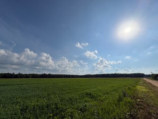 Property photo 30 - CRANBERRY & TILLABLE LAND AUCTION - 150.22+/-ACRES OFFERED IN 4 TRACTS IN WOOD COUNTY, WISCONSIN