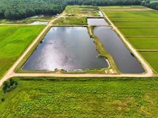 Property photo 14 - CRANBERRY & TILLABLE LAND AUCTION - 150.22+/-ACRES OFFERED IN 4 TRACTS IN WOOD COUNTY, WISCONSIN