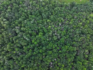 Property photo 32 - CRANBERRY & TILLABLE LAND AUCTION - 150.22+/-ACRES OFFERED IN 4 TRACTS IN WOOD COUNTY, WISCONSIN