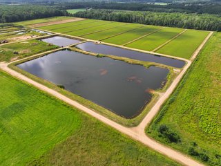 Property photo 13 - CRANBERRY & TILLABLE LAND AUCTION - 150.22+/-ACRES OFFERED IN 4 TRACTS IN WOOD COUNTY, WISCONSIN