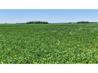 Property photo 3 - FARM AND WOODS AUCTION - 176.5+/-ACRES OFFERED IN 5 TRACTS IN WHITLEY COUNTY, INDIANA