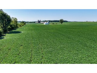 Property photo 4 - FARM AND WOODS AUCTION - 176.5+/-ACRES OFFERED IN 5 TRACTS IN WHITLEY COUNTY, INDIANA