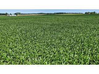 Property photo 5 - FARM AND WOODS AUCTION - 176.5+/-ACRES OFFERED IN 5 TRACTS IN WHITLEY COUNTY, INDIANA