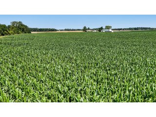 Property photo 7 - FARM AND WOODS AUCTION - 176.5+/-ACRES OFFERED IN 5 TRACTS IN WHITLEY COUNTY, INDIANA
