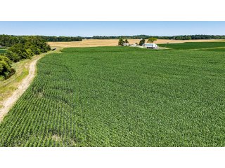Property photo 8 - FARM AND WOODS AUCTION - 176.5+/-ACRES OFFERED IN 5 TRACTS IN WHITLEY COUNTY, INDIANA