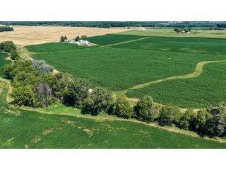 Property photo 9 - FARM AND WOODS AUCTION - 176.5+/-ACRES OFFERED IN 5 TRACTS IN WHITLEY COUNTY, INDIANA