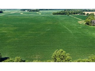 Property photo 10 - FARM AND WOODS AUCTION - 176.5+/-ACRES OFFERED IN 5 TRACTS IN WHITLEY COUNTY, INDIANA