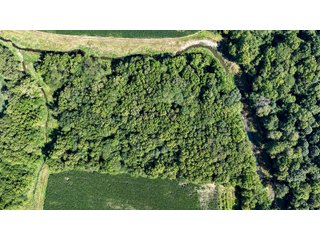 Property photo 13 - FARM AND WOODS AUCTION - 176.5+/-ACRES OFFERED IN 5 TRACTS IN WHITLEY COUNTY, INDIANA