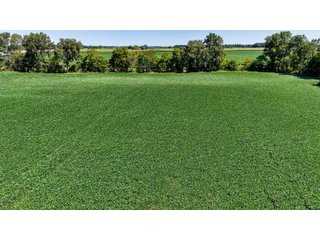 Property photo 14 - FARM AND WOODS AUCTION - 176.5+/-ACRES OFFERED IN 5 TRACTS IN WHITLEY COUNTY, INDIANA