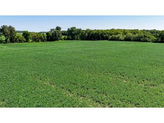Property photo 19 - FARM AND WOODS AUCTION - 176.5+/-ACRES OFFERED IN 5 TRACTS IN WHITLEY COUNTY, INDIANA
