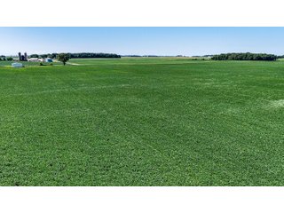 Property photo 21 - FARM AND WOODS AUCTION - 176.5+/-ACRES OFFERED IN 5 TRACTS IN WHITLEY COUNTY, INDIANA