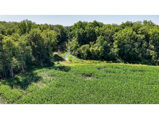 Property photo 24 - FARM AND WOODS AUCTION - 176.5+/-ACRES OFFERED IN 5 TRACTS IN WHITLEY COUNTY, INDIANA