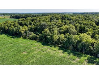 Property photo 25 - FARM AND WOODS AUCTION - 176.5+/-ACRES OFFERED IN 5 TRACTS IN WHITLEY COUNTY, INDIANA