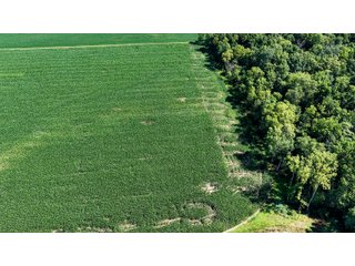 Property photo 26 - FARM AND WOODS AUCTION - 176.5+/-ACRES OFFERED IN 5 TRACTS IN WHITLEY COUNTY, INDIANA