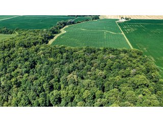 Property photo 1 - FARM AND WOODS AUCTION - 176.5+/-ACRES OFFERED IN 5 TRACTS IN WHITLEY COUNTY, INDIANA