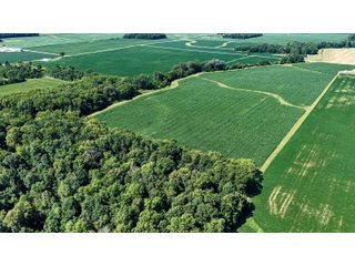 Property photo 29 - FARM AND WOODS AUCTION - 176.5+/-ACRES OFFERED IN 5 TRACTS IN WHITLEY COUNTY, INDIANA
