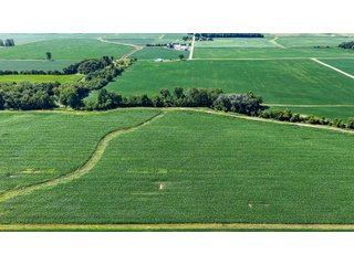 Property photo 31 - FARM AND WOODS AUCTION - 176.5+/-ACRES OFFERED IN 5 TRACTS IN WHITLEY COUNTY, INDIANA
