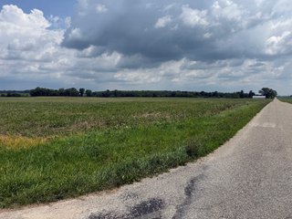 Property photo 79 - FARM AND WOODS AUCTION - 176.5+/-ACRES OFFERED IN 5 TRACTS IN WHITLEY COUNTY, INDIANA