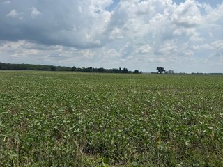 Property photo 45 - FARM AND WOODS AUCTION - 176.5+/-ACRES OFFERED IN 5 TRACTS IN WHITLEY COUNTY, INDIANA