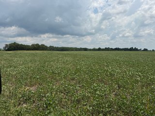 Property photo 46 - FARM AND WOODS AUCTION - 176.5+/-ACRES OFFERED IN 5 TRACTS IN WHITLEY COUNTY, INDIANA